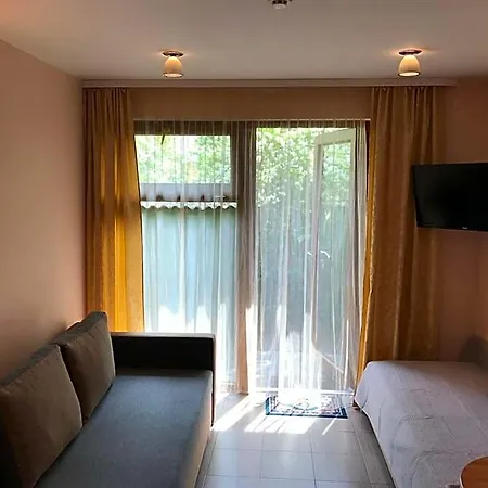 Saule * Palanga