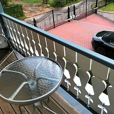 Saule Palanga