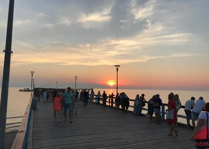 Saule מלון דירות פלאנגה